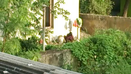 Già Sex phim loanluan hay với MẸ