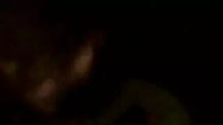 BLACK4K. Đen phim xex loanluan cavalier cho momma và sau đó chị .